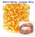 10/30/50/100/120M Silver copper Wire Fairy Lights Waterproof Outdoor String Led Light Decorative Garland for Party Christmas Wedding Bedroom